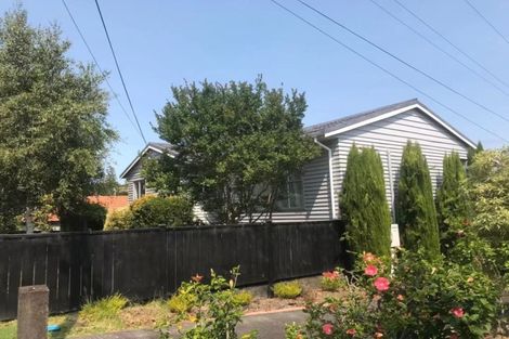 Photo of property in 17 Trafalgar Road, Milford, Auckland, 0620