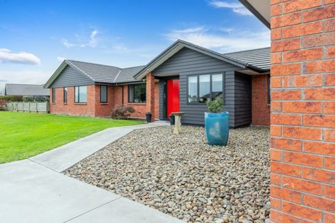 Photo of property in 43 Seachange Drive, Leamington, Cambridge, 3432