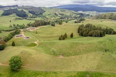 Photo of property in 404 Waitetuna Valley Road, Waitetuna, Raglan, 3295