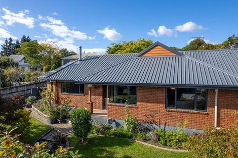 Photo of property in 11 Idesia Grove, Richmond, 7020