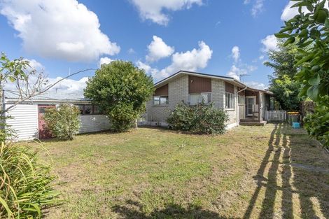 Photo of property in 25 Chequers Avenue, Chartwell, Hamilton, 3210