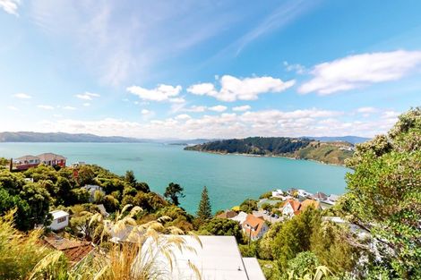 Photo of property in 18 Waipapa Terrace, Hataitai, Wellington, 6021