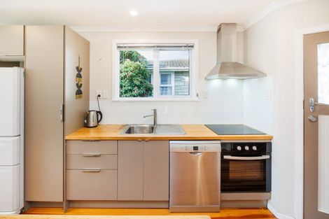 Photo of property in 132 Limbrick Street, Terrace End, Palmerston North, 4410
