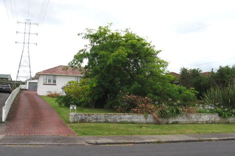 Photo of property in 12 Boyce Avenue, Mount Roskill, Auckland, 1041