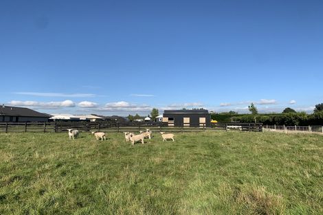 Photo of property in 34 Union Street, Winton, 9720