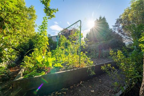 Photo of property in 64b Gleniti Road, Gleniti, Timaru, 7910