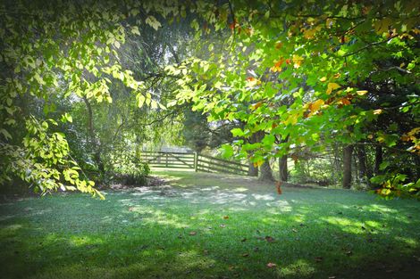 Photo of property in 28 Kaipara Flats Road, Dome Forest, Warkworth, 0981