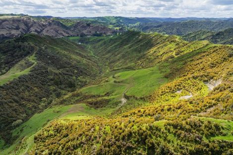 Photo of property in 987 Mangaehu Road, Puniwhakau, Stratford, 4392