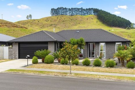 Photo of property in 224 Ballintoy Park Drive, Welcome Bay, Tauranga, 3175