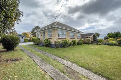 Photo of property in 58 Neal Street, Putaruru, 3411