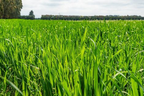 Photo of property in 609 Woodstock Road, Burnt Hill, Oxford, 7495