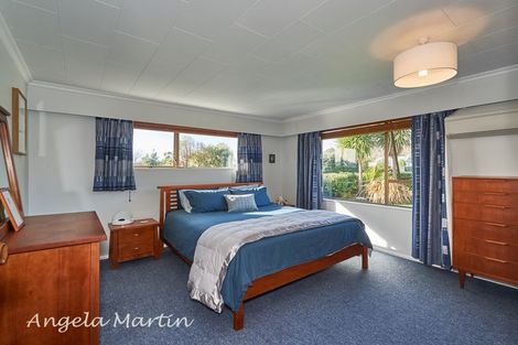 Photo of property in 39 Tokomaru Road, Tokomaru, Palmerston North, 4474