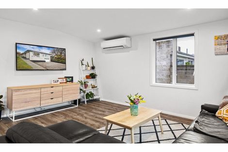 Photo of property in 117 Tarbert Street, Alexandra, 9320