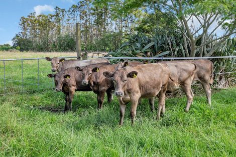 Photo of property in 712 One Tree Point Road, Ruakaka, Whangarei, 0171