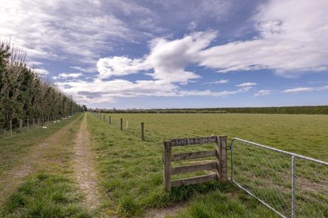 Photo of property in 201 Hollands Road, Tinwald, Ashburton, 7771