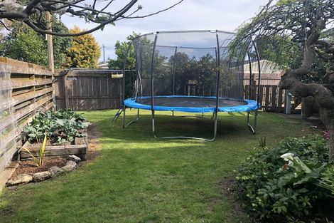 Photo of property in 19 Leeds Place, Tamatea, Napier, 4112