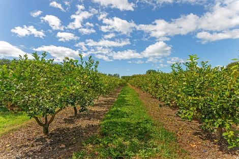 Photo of property in 34 Bell Road, Matawhero, Gisborne, 4071