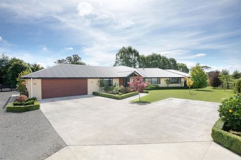 Photo of property in 255 Calico Line, Marton, 4787