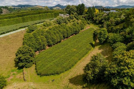 Photo of property in 827 No 1 Road, Te Ranga, Te Puke, 3182