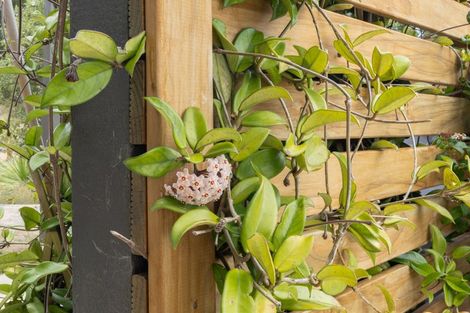 Photo of property in 12 Quail Way, Waitarere, Levin, 5510