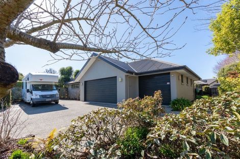 Photo of property in 19 Belmont Avenue, Rangiora, 7400