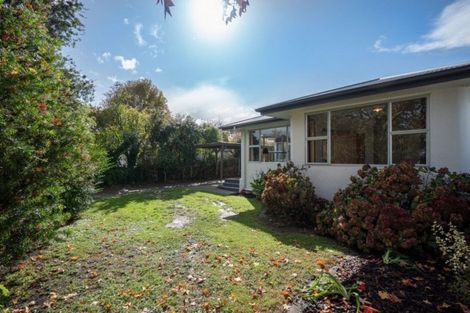 Photo of property in 227a Botanical Road, Takaro, Palmerston North, 4412
