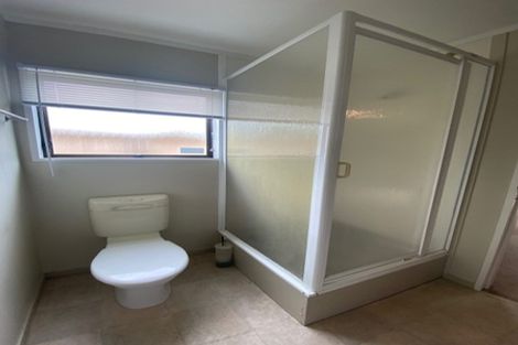 Photo of property in 67 Ascot Road, Chartwell, Hamilton, 3210