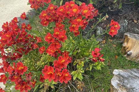 Photo of property in 17 Lewer Road, Whangaroa, Kaeo, 0478