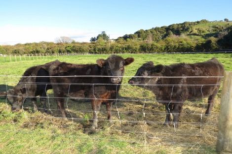 Photo of property in 1009 White Pine Bush Road, Taneatua, Whakatane, 3191