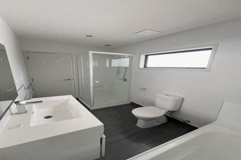 Photo of property in 1/195 Massey Street, Frankton, Hamilton, 3204