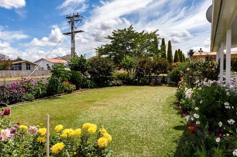 Photo of property in 15 Towers Street, Paeroa, 3600