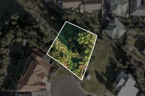 Photo of property in 21 Ohinemuri Place, Paeroa, 3600