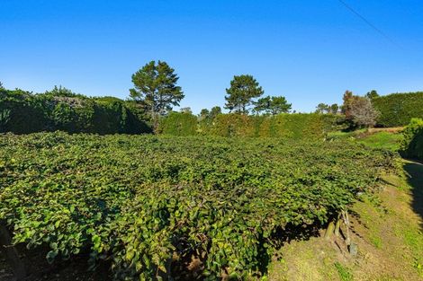 Photo of property in 31 Clark Cross Road, Otara, Opotiki, 3197