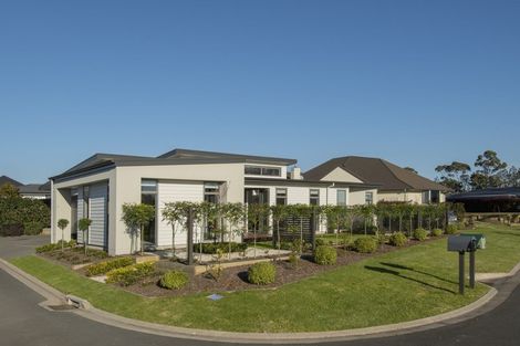 Photo of property in 5e Tui Glen, Omokoroa, 3114