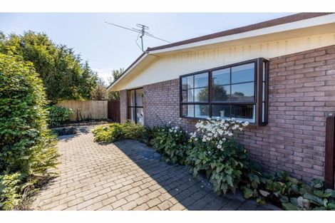 Photo of property in 160a Petrie Street, Richmond, Christchurch, 8013