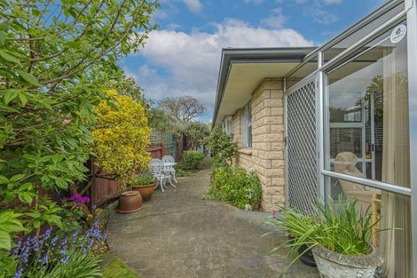 Photo of property in 117a Roy Street, Palmerston North, 4410