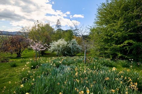 Photo of property in Connemara, 242 Sisters Road, Ferniehurst, Cheviot, 7384