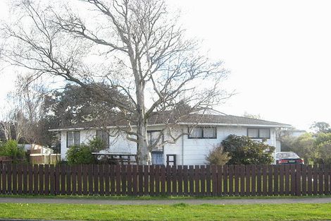 Photo of property in 84 Alexandra Street, Marton, 4710