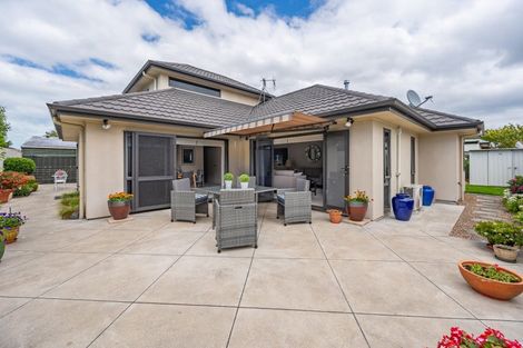 Photo of property in 31a Avenue Road, Greenmeadows, Napier, 4112