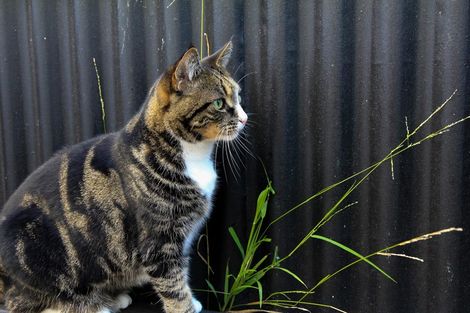 Photo of property in 2/43 Leighton Avenue, Waiwhetu, Lower Hutt, 5010