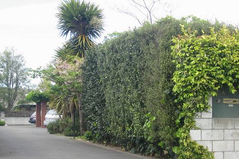 Photo of property in 34a Stephenson Street, Blenheim, 7201