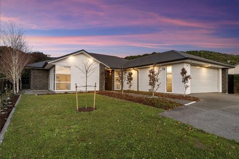 Photo of property in 217 Lakes Boulevard, Pyes Pa, Tauranga, 3112