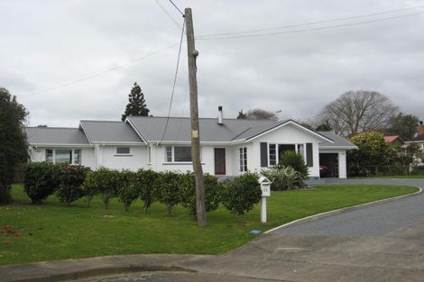 Photo of property in 12 Chester Street, Levin, 5510
