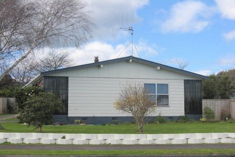 Photo of property in 7 Strathmore Avenue, Levin, 5510