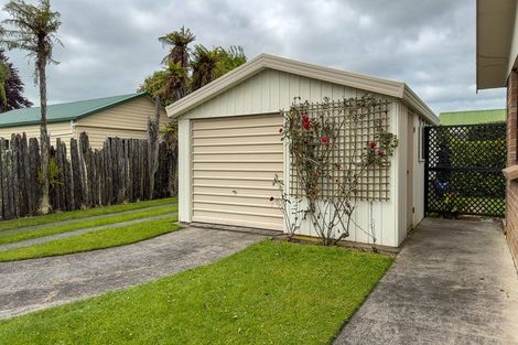 Photo of property in 20 Central Street, Matamata, 3400