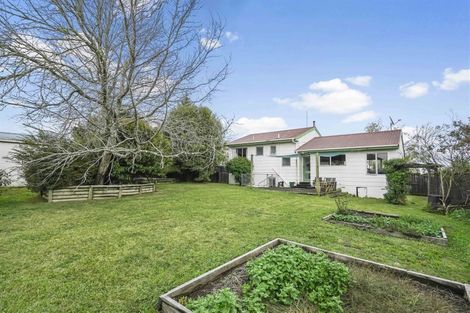 Photo of property in 90 Fairview Street, Chartwell, Hamilton, 3210