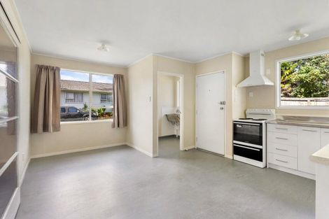 Photo of property in 52 Coburg Street, Henderson, Auckland, 0612
