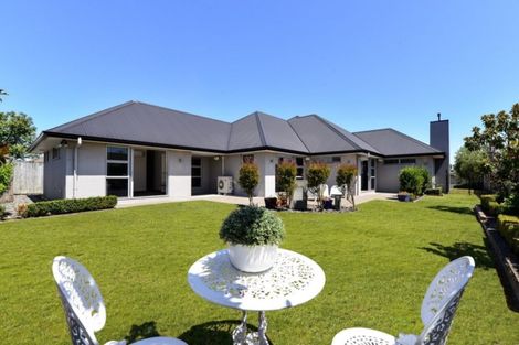 Photo of property in 9 Cornice Place, Flagstaff, Hamilton, 3210