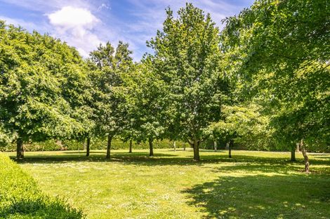 Photo of property in 314 Campbell Road, Richmond Downs, Walton, 3475