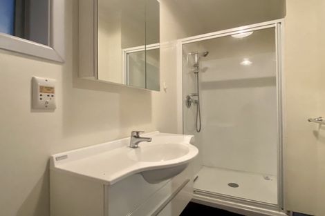 Photo of property in 223c The Terrace, Wellington Central, Wellington, 6011